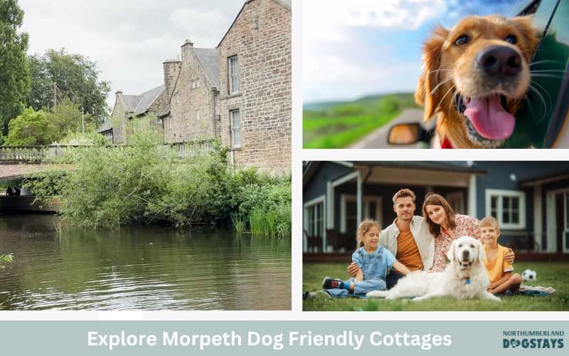 Morpeth dog friendly cottages